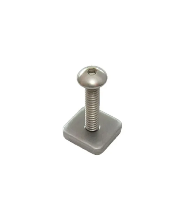 Long board Screw and Plate